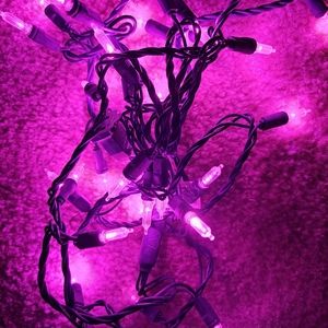 Novelty Lights 35 Light T5 LED Christmas Light Set - Pink with Green Wire 11.5'